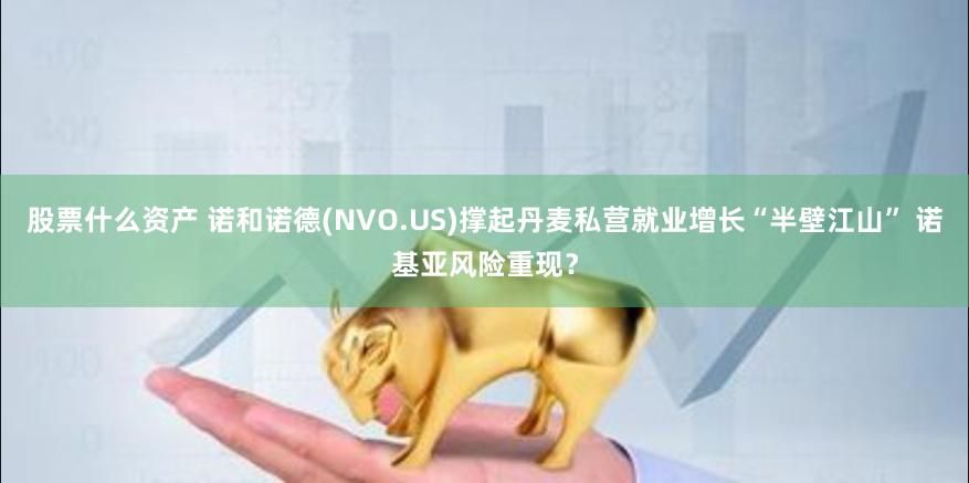 股票什么资产 诺和诺德(NVO.US)撑起丹麦私营就业增长“半壁江山” 诺基亚风险重现？